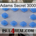 Adams Secret 3000 21